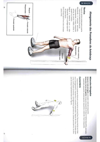 Livro anatomia do alongamento