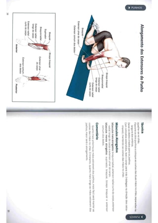 Livro anatomia do alongamento