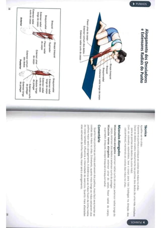 Livro anatomia do alongamento