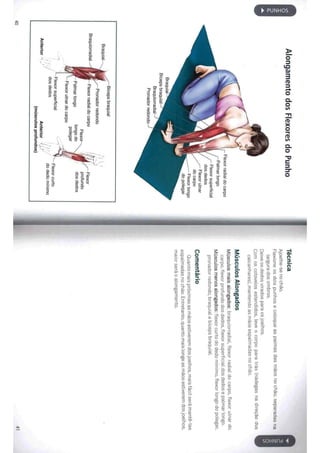 Livro anatomia do alongamento
