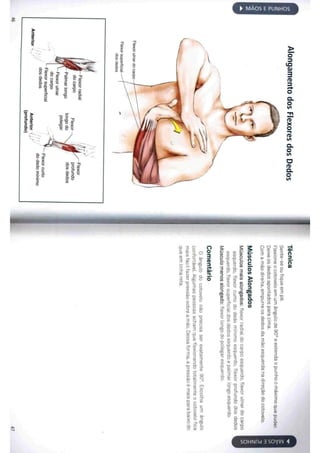 Livro anatomia do alongamento