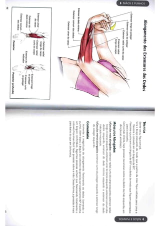Livro anatomia do alongamento
