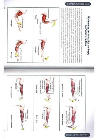 Livro anatomia do alongamento