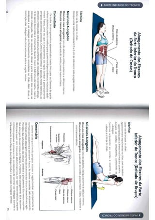Livro anatomia do alongamento