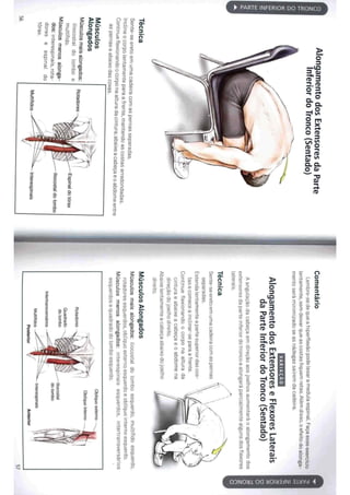 Livro anatomia do alongamento