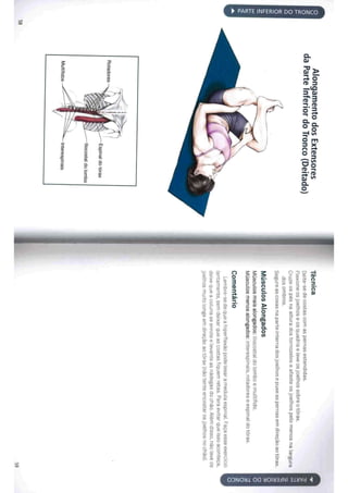 Livro anatomia do alongamento