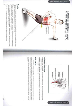 Livro anatomia do alongamento