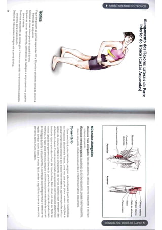 Livro anatomia do alongamento