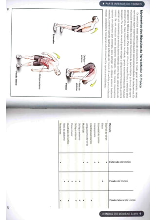 Livro anatomia do alongamento