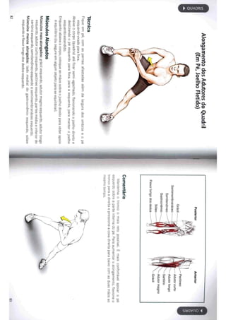 Livro anatomia do alongamento
