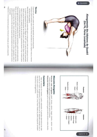 Livro anatomia do alongamento