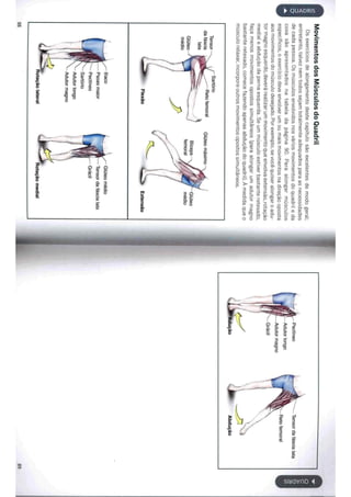 Livro anatomia do alongamento