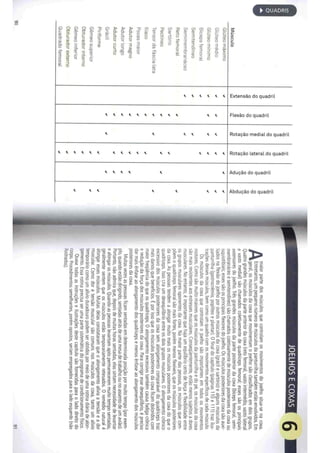 Livro anatomia do alongamento