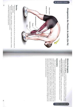 Livro anatomia do alongamento