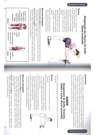 Livro anatomia do alongamento