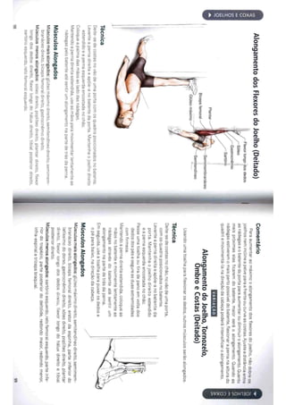 Livro anatomia do alongamento