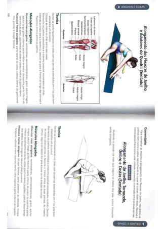 Livro anatomia do alongamento