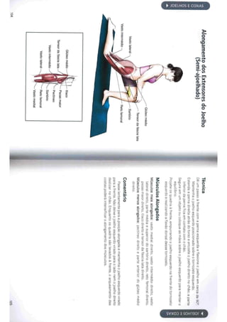 Livro anatomia do alongamento