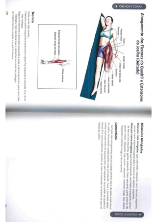 Livro anatomia do alongamento