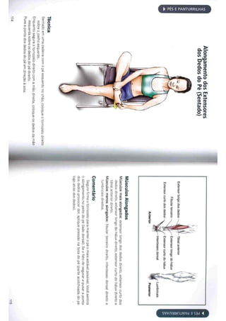 Livro anatomia do alongamento
