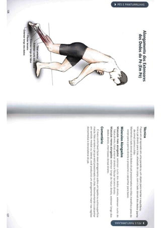 Livro anatomia do alongamento