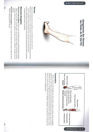 Livro anatomia do alongamento