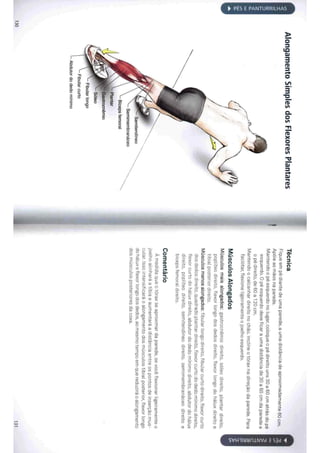 Livro anatomia do alongamento