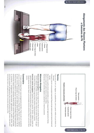 Livro anatomia do alongamento