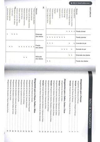 Livro anatomia do alongamento