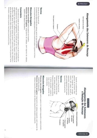 Livro anatomia do alongamento