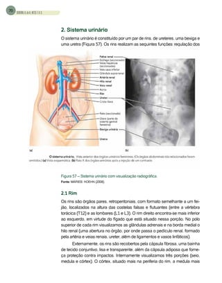 Livro_Anatomia e Fisiologia CIENCIAS BIOLÓGICO | PDF