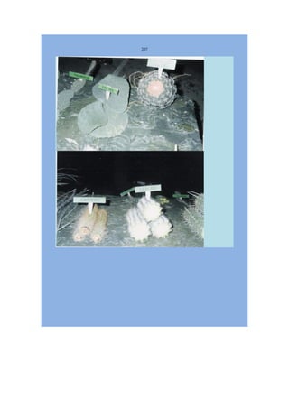 Livro Aspectos da história das juventudes brasileiras (1930-1985): um resgate histórico sem página virada [volume 4: 1994-2002]  