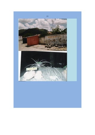 Livro Aspectos da história das juventudes brasileiras (1930-1985): um resgate histórico sem página virada [volume 4: 1994-2002]  