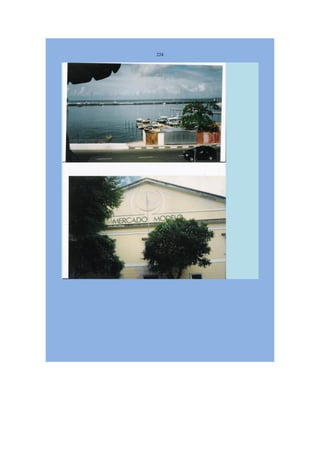 Livro Aspectos da história das juventudes brasileiras (1930-1985): um resgate histórico sem página virada [volume 4: 1994-2002]  
