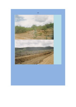 Livro Aspectos da história das juventudes brasileiras (1930-1985): um resgate histórico sem página virada [volume 4: 1994-2002]  