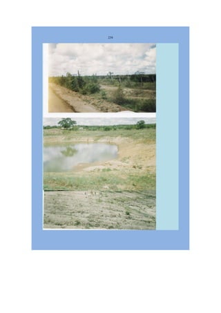 Livro Aspectos da história das juventudes brasileiras (1930-1985): um resgate histórico sem página virada [volume 4: 1994-2002]  