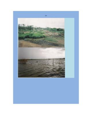 Livro Aspectos da história das juventudes brasileiras (1930-1985): um resgate histórico sem página virada [volume 4: 1994-2002]  