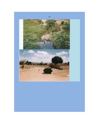 Livro Aspectos da história das juventudes brasileiras (1930-1985): um resgate histórico sem página virada [volume 4: 1994-2002]  