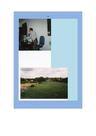 Livro Aspectos da história das juventudes brasileiras (1930-1985): um resgate histórico sem página virada [volume 4: 1994-2002]  