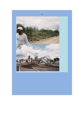 Livro Aspectos da história das juventudes brasileiras (1930-1985): um resgate histórico sem página virada [volume 4: 1994-2002]  