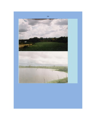 Livro Aspectos da história das juventudes brasileiras (1930-1985): um resgate histórico sem página virada [volume 4: 1994-2002]  