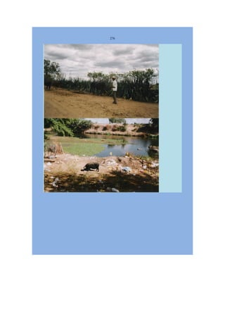 Livro Aspectos da história das juventudes brasileiras (1930-1985): um resgate histórico sem página virada [volume 4: 1994-2002]  