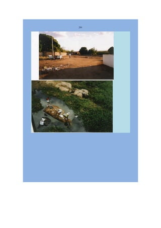 Livro Aspectos da história das juventudes brasileiras (1930-1985): um resgate histórico sem página virada [volume 4: 1994-2002]  