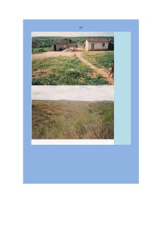 Livro Aspectos da história das juventudes brasileiras (1930-1985): um resgate histórico sem página virada [volume 4: 1994-2002]  