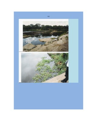 Livro Aspectos da história das juventudes brasileiras (1930-1985): um resgate histórico sem página virada [volume 4: 1994-2002]  