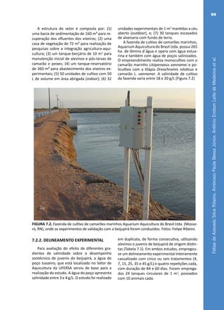 FelipedeAzevedoSilvaRibeiro,AmbrosioPaulaBessaJúnior,AntônioEndsonLeitedeMedeirosetal.
99
A estrutura do setor é composta por: (1)
uma bacia de sedimentação de 160 m³ para re-
cuperação dos efluentes dos viveiros; (2) uma
casa de vegetação de 72 m² para realização de
pesquisas sobre a integração agricultura-aqui-
cultura; (3) um tanque-berçário de 10 m3
para
manutenção inicial de alevinos e pós-larvas de
camarão e peixes; (4) um tanque-reservatório
de 360 m³ para abastecimento dos viveiros ex-
perimentais; (5) 50 unidades de cultivo com 50
L de volume em área abrigada (indoor); (6) 32
unidades experimentais de 1 m3
mantidas a céu
aberto (outdoor), e; (7) 30 tanques escavados
de alvenaria com fundo de terra.
A fazenda de cultivo de camarões marinhos,
Aquarium Aquicultura do Brasil Ltda. possui 265
ha. de lâmina d´água e opera com água estua-
rina e também com água de poços salinizados.
O empreendimento realiza monocultivo com o
camarão marinho Litopenaeus vannamei e po-
licultivo com a tilápia Oreochromis niloticus e
camarão L. vannamei. A salinidade de cultivo
da fazenda varia entre 18 e 20 g/L (Figura 7.2)
.
FIGURA 7.2. Fazenda de cultivo de camarões marinhos Aquarium Aquicultura do Brasil Ltda. (Mosso-
ró, RN), onde os experimentos de validação com o beijupirá foram conduzidos. Fotos: Felipe Ribeiro.
7.2.2. DELINEAMENTO EXPERIMENTAL
Para avaliação do efeito de diferentes gra-
dientes de salinidade sobre o desempenho
zootécnico de juvenis do beijupirá, a água do
poço Juazeiro, que está localizado no Setor de
Aquicultura da UFERSA serviu de base para a
realização do estudo. A água do poço apresenta
salinidade entre 3 e 4 g/L. O estudo foi realizado
em duplicata, de forma consecutiva, utilizando
alevinos e juvenis de beijupirá de origem distin-
tas (Tabela 7.1). Em ambos estudos, empregou-
se um delineamento experimental inteiramente
casualizado com cinco ou seis tratamentos (4,
7, 15, 25, 35 e 45 g/L) e quatro repetições cada,
com duração de 84 e 60 dias. Foram emprega-
dos 24 tanques circulares de 1 m3
, povoados
com 10 animais cada.
 