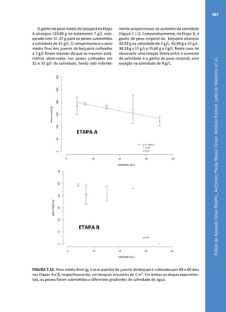 FelipedeAzevedoSilvaRibeiro,AmbrosioPaulaBessaJúnior,AntônioEndsonLeitedeMedeirosetal.
107
56
salinidade, alcançando uma sobrevivência final de 83,33%, seguido pelo tratamento com 4 g/L
com 57,78%, 15 g/L com 31,11% e 25 g/L com 17,78%.
O ganho de peso médio do beijupirá na Etapa A alcançou 119,89 g no tratamento 7 g/L comparado
com 51,37 g para os peixes submetidos a salinidade de 35 g/L. O comprimento e o peso médio
final dos juvenis de beijupirá cultivados a 7 g/L foram maiores do que os mesmos parâmetros
observados nos peixes cultivados em 15 e 35 g/L de salinidade, tendo sido indiretamente
proporcionais ao aumento da salinidade (Figura 7.11). Comparativamente, na Etapa B, o ganho de
peso corporal do beijupirá alcançou 43,92 g na salinidade de 4 g/L, 40,99 g a 25 g/L, 38,33 g a 15
g/L e 35,60 g a 7 g/L. Neste caso, foi observada uma relação direta entre o aumento da salinidade
e o ganho de peso corporal, com exceção na salinidade de 4 g/L.
FIGURA 7.11. Peso médio final (g; ± erro padrão) de juvenis do beijupirá cultivado por 84 e 60 dias
nas Etapas A e B, respectivamente, em tanques circulares de 1 m3
. Em ambas as etapas
experimentais, os peixes foram submetidos a diferentes gradientes de salinidade da água.
ETAPA A
ETAPA B
FIGURA 7.11. Peso médio final (g; ± erro padrão) de juvenis do beijupirá cultivados por 84 e 60 dias
nas Etapas A e B, respectivamente, em tanques circulares de 1 m3
. Em ambas as etapas experimen-
tais, os peixes foram submetidos a diferentes gradientes de salinidade da água.
O ganho de peso médio do beijupirá na Etapa
A alcançou 119,89 g no tratamento 7 g/L com-
parado com 51,37 g para os peixes submetidos
a salinidade de 35 g/L. O comprimento e o peso
médio final dos juvenis de beijupirá cultivados
a 7 g/L foram maiores do que os mesmos parâ-
metros observados nos peixes cultivados em
15 e 35 g/L de salinidade, tendo sido indireta-
mente proporcionais ao aumento da salinidade
(Figura 7.11). Comparativamente, na Etapa B, o
ganho de peso corporal do beijupirá alcançou
43,92 g na salinidade de 4 g/L, 40,99 g a 25 g/L,
38,33 g a 15 g/L e 35,60 g a 7 g/L. Neste caso, foi
observada uma relação direta entre o aumento
da salinidade e o ganho de peso corporal, com
exceção na salinidade de 4 g/L.
 