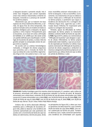 PedroFilipeRibeiroAraújo,MariadasGraçasLimaCoêlho,MarianaBezerraCoimbraHolandaetal.
127
o beijupirá durante o presente estudo. Isto é
ainda mais intrigante, pois seriam esperados
sinais mais crônicos relacionados à enterite no
beijupirá, incluindo-se a presença de eosinófi-
los na lâmina própria.
Obviamente que, por se tratarem de duas
espécies de climas totalmente diferentes, o sal-
mão, de águas frias de clima temperado, não
pode ser tomado como um modelo em todos os
aspectos biológicos para o beijupirá, de águas
quentes e clima tropical. Principalmente para
os leucócitos, ao se levar em conta a afirmação
de DaMatta et al. (2009) que não existe ainda
um padrão definido para classificação e morfo-
logia de leucócitos de peixes, e ainda o fato da
grande variação na composição celular do san-
gue entre as espécies.
De acordo com as análises hematológicas
realizadas, a linhagem de células sanguíneas
que aumentou com a inclusão do farelo de
soja nas dietas foi a dos neutrófilos segmenta-
dos (Figura 8.5). Isto poderia levar a crer que
esses neutrófilos estariam relacionados à en-
terite no beijupirá, e não os eosinófilos. Curio-
samente, nos tratamentos em que se obteve a
menor média para a infiltração de leucócitos
na lâmina própria, o parâmetro que seguiu a
tendência de decréscimo foi a contagem dos
linfócitos (Figura 8.6), sugerindo que a dimi-
nuição desses linfócitos foi responsável pela
queda na contagem dos leucócitos.
Portanto, apesar da dificuldade de melhor
observação da lâmina própria no tratamento
dietético contento 50,0% de farelo de soja (die-
ta FS50, Figura 8.9 F), adotou-se a nomenclatura
“infiltração de leucócitos” para designar o apor-
te de células inflamatórias na lâmina própria
evidenciado neste trabalho, o que vai ao encon-
tro do reportado por Venold et al. (2012). Esses
autores chamaram de infiltração de leucócitos o
acúmulo de células sanguíneas e atribuíram às
mesmas o alargamento da lâmina própria em um
experimento que utilizou farelo de soja na dieta
do salmão do Atlântico, S. salar.
A B C
FED
FIGURA 8.9. Padrão histológico geral do intestino distal do beijupirá, R. canadum, após cultivo de
8 semanas, alimentado com dietas com progressivas reduções na farinha de peixe. A, beijupirá
alimentado com a dieta basal, contendo 16,1% de farelo de soja; B, peixes alimentados com ração
comercial; C, peixes alimentados com a dieta FS12, com 24,6% de farelo de soja; D, dieta FS25, com
33,0% de farelo de soja; E, dieta FS37, com 41,5% de farelo de soja; F, dieta FS50, com 50,0% de
farelo de soja. Barras: 10 μm. Fotos: Pedro Filipe Ribeiro Araújo.
Embora não se tenha observado diferença
estatística para a infiltração de leucócitos (Fi-
gura 8.8), pôde-se observar uma tendência de
aumento apresentada por este parâmetro de
acordo com o incremento do farelo de soja nas
dietas em detrimento a farinha de peixe. Ainda
na perspectiva da Figura 8.8, a dieta que mais
se aproximou da dieta basal foi a que continha
24,6% de farelo de soja (dieta FS12), com me-
nor substituição da farinha de peixe. Também
se observou que a ração comercial apresentou
uma tendência de similaridade com aquelas
 