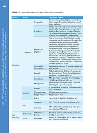 ESTABELECIMENTODEPROCEDIMENTOSDEDIAGNÓSTICOPADRÃOEPRINCIPAIS
ENFERMIDADESEMJUVENISDOBEIJUPIRÁ,Rachycentroncanadum(LINNAEUS,1766)
136
TABELA 9.1. Principais etiologias reportadas no Rachycentron canadum.
Origem Grupo Gênero ou Espécie
Infecciosa
Parasitas
Protozoários
Brooklynella hostiles; Cryptocaryon irritans;
Ichthyobodo; Trichodina; Epistylis; Amylood-
inium ocellatum
Crustáceos
Caligus lalandei; C. epidemicus; Parapetalus
occidentalis; C. coryphaenae; Lernaeolophus
sultanus; Conchoderma virgatum; Tuxopho-
rus caligodes; Euryphorus nordmanni; L. lon-
giventris; L. hemiramphi; C. haemulonis
Metazoários
(Digenea)
Aponurus carangis; Bucephalus varicus; De-
rogenes varicus; Dinurus selari; Lepidapedon
megalaspi; Neometanematobothrioides
rachycentri, Paracryptogonimus morosovi;
Phyllodistomum parukhini; Stephanosto-
mum imparispine; Tormopsolus filiformis;
Tubulovesicula angusticauda; Tormopsolus
spatulum; Pseudolepidapedon pudens; Le-
cithochirium monticellii; Stephanostomum
dentatum; S. cloacum S. Pseudoditrematis; S.
microsomum;S. rachycentronis; Mabiarama
prevesiculata; Plerurus digitatus; Sclerodisto-
mum rachycentri; S. cobia
Trematoides
(monogenea)
Dionchus rachycentris; D. agassizi; Neobened-
enia girellae
Cestoide
Nybelinia bisulcata; Callitetrarhynchus graci-
lis, Rhinebothrium flexile; Rhynchobothrium
longispine; Trypanorhyncha sp.
Nematóides
Mabiarama prevesiculata; Goezia pelagia;
Anisakis sp.; Philometroides sp.
Mixosporídeo
Sphaerospora–like myxosporea; Myxidium,
Ceratomyxa, Myxobolus; Kudoa
Bactérias
Vibriosis
V. alginolyticus, V. harveyi, V. parahaemolyti-
cus; V. vulnificus
Micobacterioses Mycobacterium marinum
Streptococcosis Streptococcus iniae
Outras Aeromonas hydrophila; Citrobacter sp.
Vírus
Nodavírus NNV (Vírus da necrose no tecido nervoso)
Iridovírus
RSIV (red sea bream iridiovirus); TGIV (grou-
per iridovirus of Taiwan)
Não
infecciosa
Nutricional
Deficiência de
proteína
Escoliose, lordose, nefrocalcinose, catarata,
erosão de apêndices
Físico Salinidade
Atrofia de vários órgãos, fusão lamelar, mela-
nina e lipofuscin excessivo
 