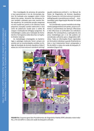 ESTABELECIMENTODEPROCEDIMENTOSDEDIAGNÓSTICOPADRÃOEPRINCIPAIS
ENFERMIDADESEMJUVENISDOBEIJUPIRÁ,Rachycentroncanadum(LINNAEUS,1766)
146
Para investigação da presença de parasitas
e (ou) epicomensais à luz do microscópio óp-
tico, foi realizada uma raspagem sobre a linha
lateral dos peixes. Amostras das brânquias fo-
ram também coletadas para este mesmo fim.
Na sequência, foi conduzida punção sanguínea
na veia caudal em juvenis e em alevinos muito
pequenos (coração) usando tuberculina e (ou)
corte do pedúnculo caudal para a coleta de
sangue e realização do esfregaço sanguíneo. As
metodologias usadas para realização do hema-
tócrito e hemograma estão descritas no Capítu-
lo 8 deste material.
As metodologias empregadas na bacterio-
logia e patologia molecular foram sempre em
acordo com as recomendações contidas no Có-
digo de Sanidade de Animais Aquáticos (http://
www.oie.int/international-standard-setting/
aquatic-code/access-online/) e no Manual de
Testes de Diagnóstico de Animais Aquáticos
(http://www.oie.int/international-standard-
setting/aquatic-manual/access-online/) reco-
mendados pela Organização Mundial de Saúde
Animal (OIE).
Foi considerada a quase inexistência de diag-
nóstico patognomônico em peixes, já que os sin-
tomas e características de doenças infecciosas
e não infecciosas se confundem nos indivíduos
afetados. Por consequência, a aplicação de uma
única metodologia por si só não poderia ser
considerada suficiente para o diagnóstico defi-
nitivo. Todas as informações foram registradas
em formulário individual, quando finalmente os
lotes e (ou) tratamentos foram comparados a
fim de definir o status de saúde do beijupirá, R.
canadum (Figura 9.6).
FIGURA 9.6. Esquema geral dos Procedimentos de Diagnóstico Padrão (PDP) adotados neste traba-
lho, a fim de definir o status de saúde do beijupirá cultivado.
 